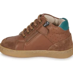 Little Mary - ANDREA