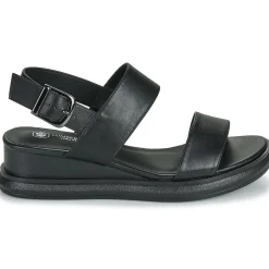 Lumberjack - FILEROY