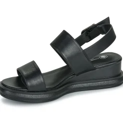 Lumberjack - FILEROY