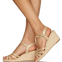 Maison Minelli - TERENSSE