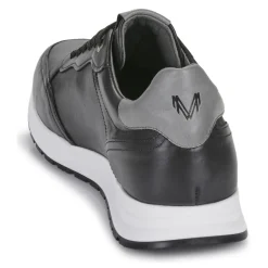 Martinelli - BROOKLINE