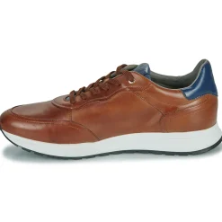 Martinelli - Brooklyne