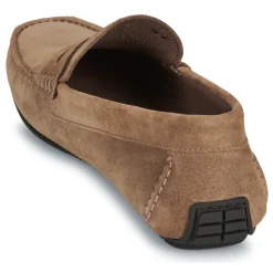 Martinelli - PACIFIC