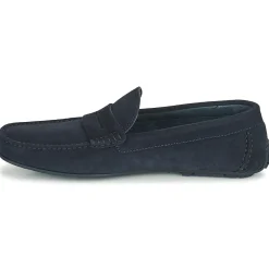 Martinelli - PACIFIC