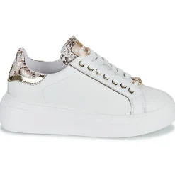 Meline - 608ACC-LO-E883