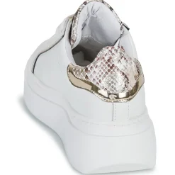 Meline - 608ACC-LO-E883