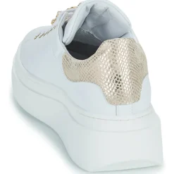 Meline - LO247-ACC-P9096