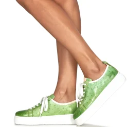 Melvin & Hamilton - AMBER 6