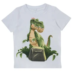 Name it - NMMGIGANTOSAURUS