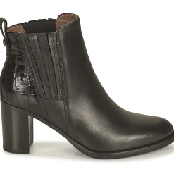 NeroGiardini - FENOUILO