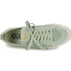 No Name - ARCADE FLY W