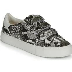 No Name - ARCADE STRAPS