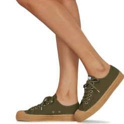 Novesta - STAR MASTER 42 MLTR