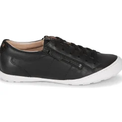 Palladium - GALOPINE SVG