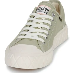 Palladium - PALLA ACE CVS