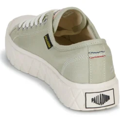 Palladium - PALLA ACE CVS