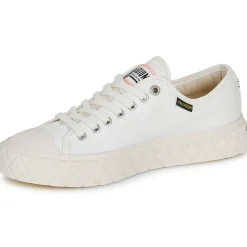 Palladium - PALLA ACE CVS