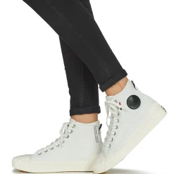 Palladium - PALLA ACE CVS MID