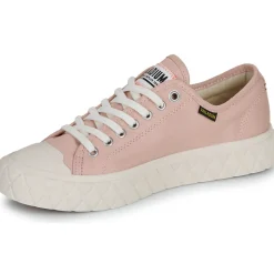 Palladium - PALLA ACE CVS ORG