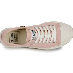 Palladium - PALLA ACE CVS ORG