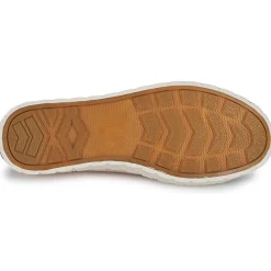 Palladium - PALLA ACE CVS ORG