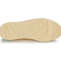 Palladium - PALLACUP FLAME LTH