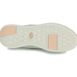 Palladium - PALLANOVA LTH