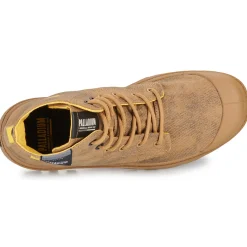 Palladium - PAMPA SURPLUS