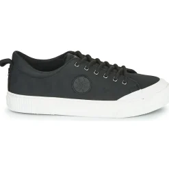 Palladium - STUDIO 02