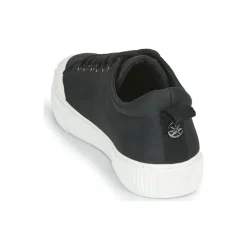 Palladium - STUDIO 02