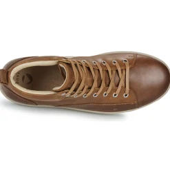 Pataugas - NEW CARLO