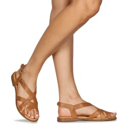 Pikolinos - ALGAR W0X