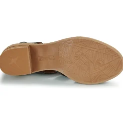 Pikolinos - BLANES W3H