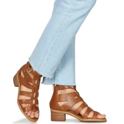 Pikolinos - BLANES W3H