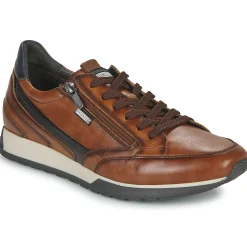 Pikolinos - CAMBIL M5N