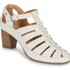 Pikolinos - CAMPELLO W4X