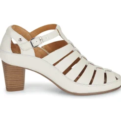 Pikolinos - CAMPELLO W4X