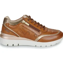 Pikolinos - CANTABRIA W4R