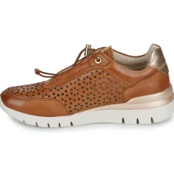 Pikolinos - CANTABRIA W4R