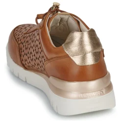 Pikolinos - CANTABRIA W4R