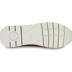 Pikolinos - CANTABRIA W4R