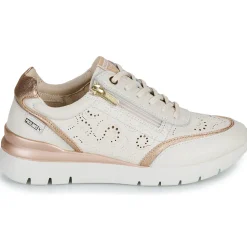 Pikolinos - CANTABRIA W4R