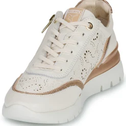 Pikolinos - CANTABRIA W4R