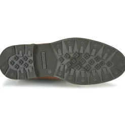 Pikolinos - YORK M2M