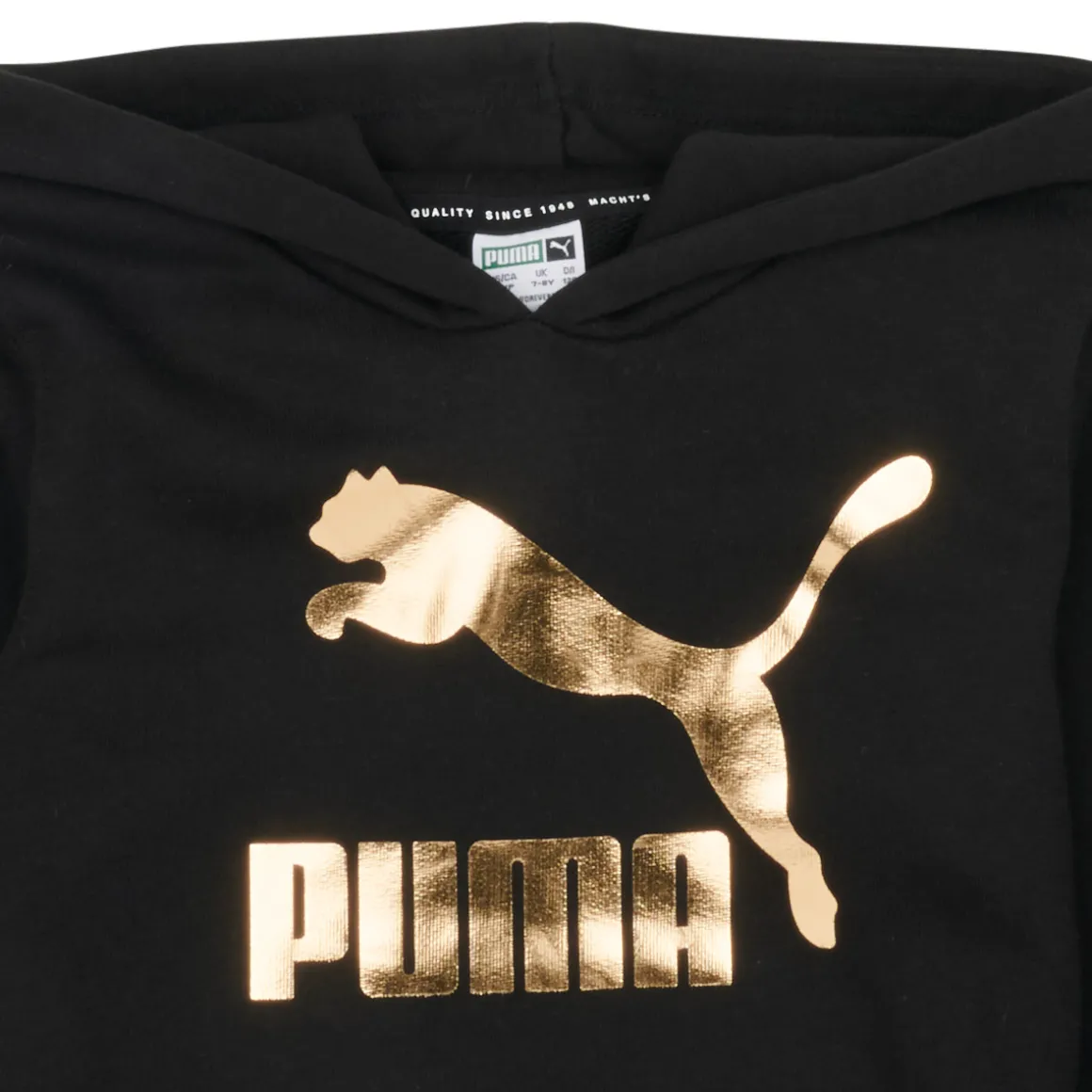 Puma - CLASSICS LOGO HOODIE
