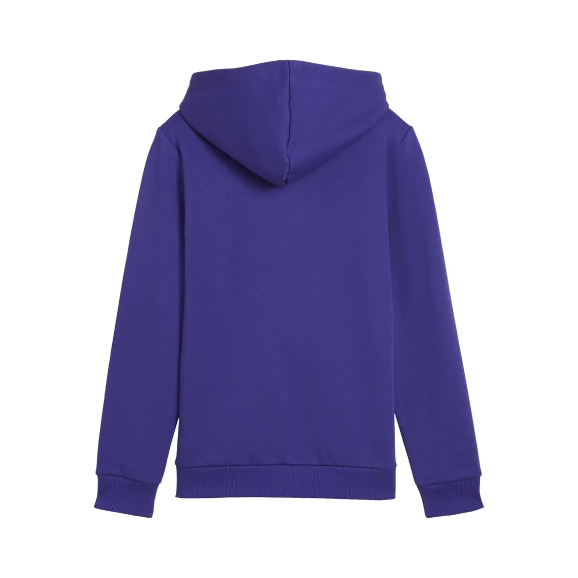 Puma - ESS+ 2 COL BIG LOGO HOODIE FL