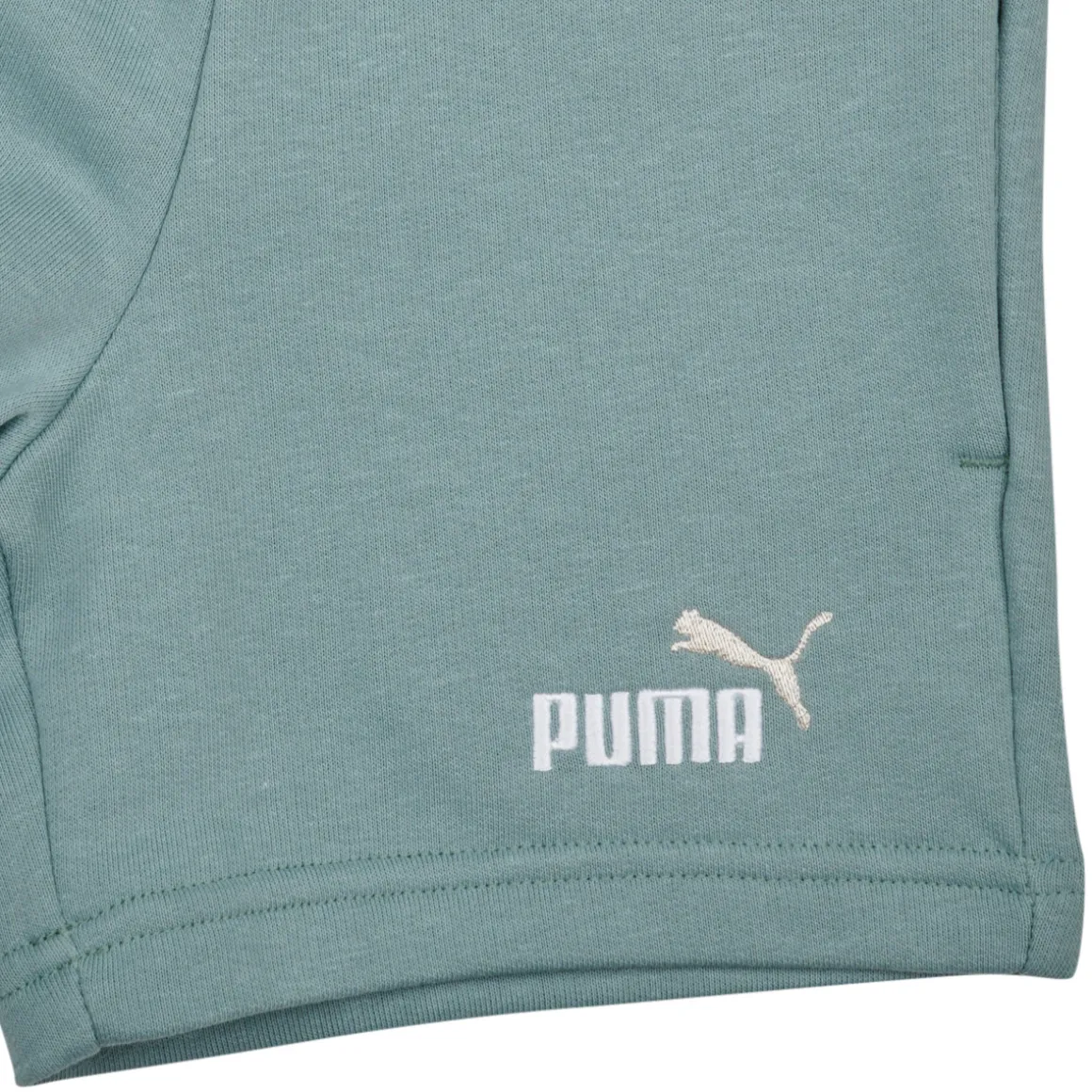 Puma - ESS 2 COLOR NO1 LOGO SHORTS