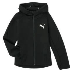 Puma - EVOSTRIPE CORE FZ HOODIE