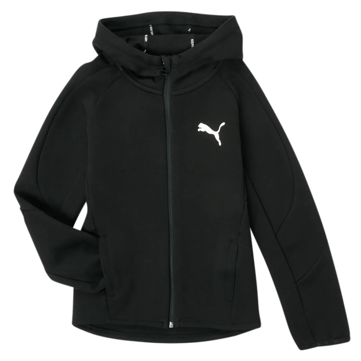 Puma - EVOSTRIPE CORE FZ HOODIE