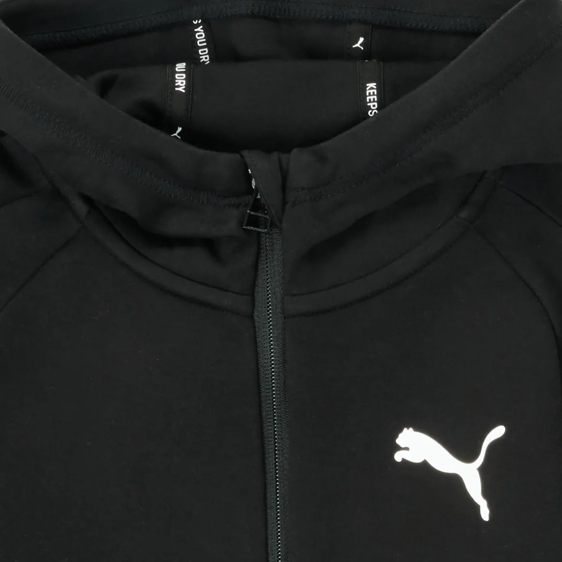 Puma - EVOSTRIPE CORE FZ HOODIE